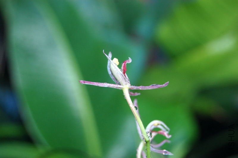 DSC_00420042.JPG