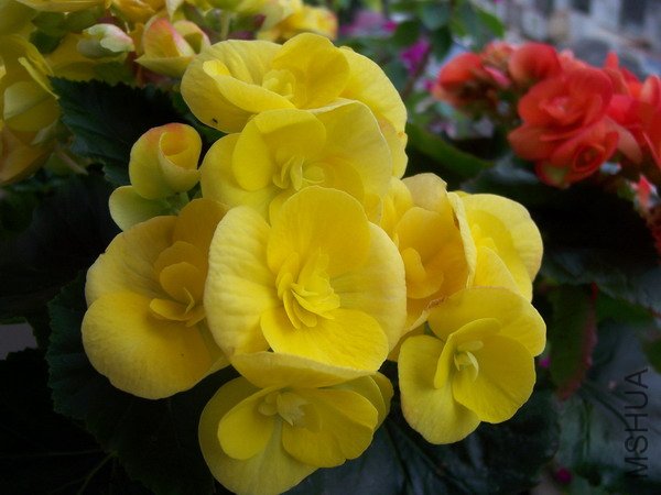 20100928 016.jpg