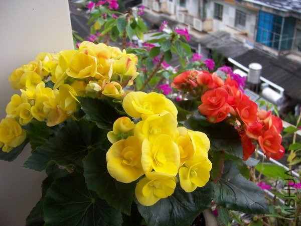 20100928 015.jpg