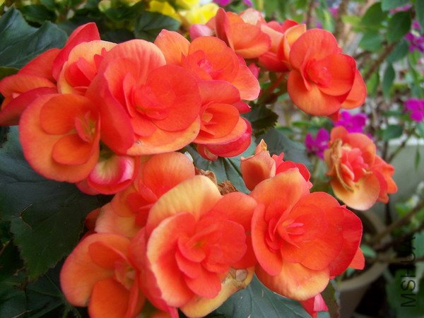20100928 017.jpg
