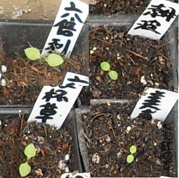 ��ѿ���� ��д.jpg