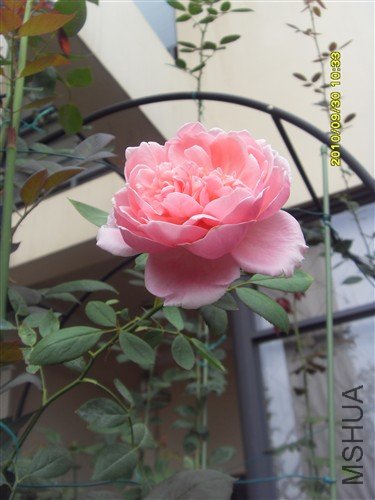 SDC12061_����.jpg