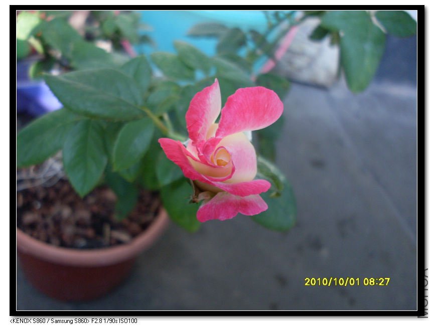 SDC15360_nEO_IMG.jpg