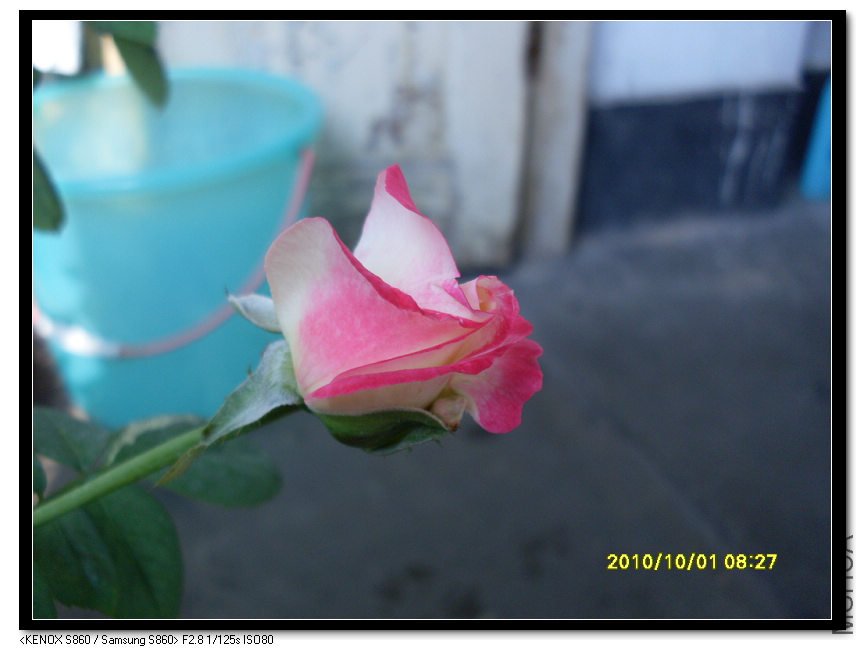 SDC15362_nEO_IMG.jpg