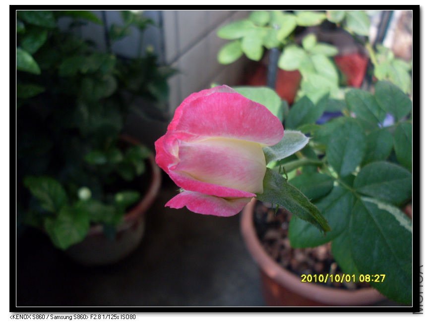 SDC15361_nEO_IMG.jpg