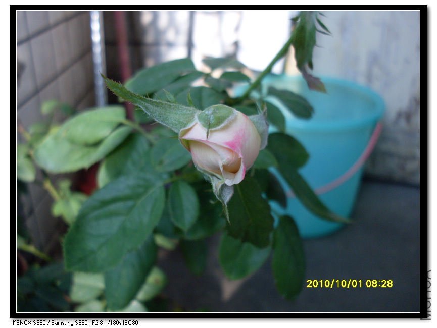 SDC15364_nEO_IMG.jpg