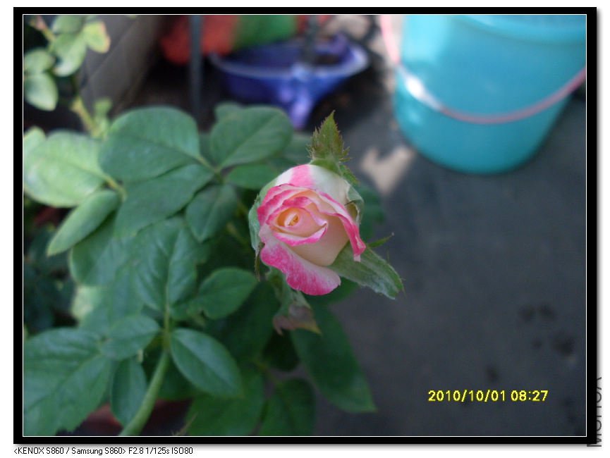 SDC15363_nEO_IMG.jpg