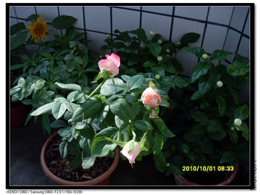 SDC15374_nEO_IMG.jpg