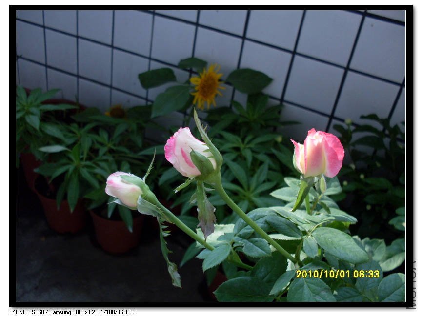 SDC15375_nEO_IMG.jpg