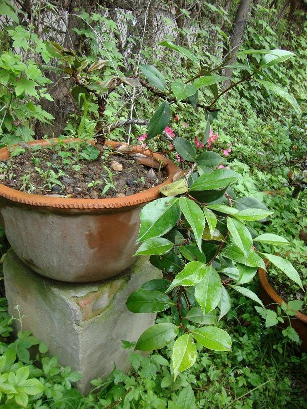 ��������ǰ