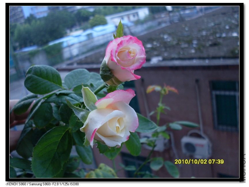 SDC15403_nEO_IMG.jpg
