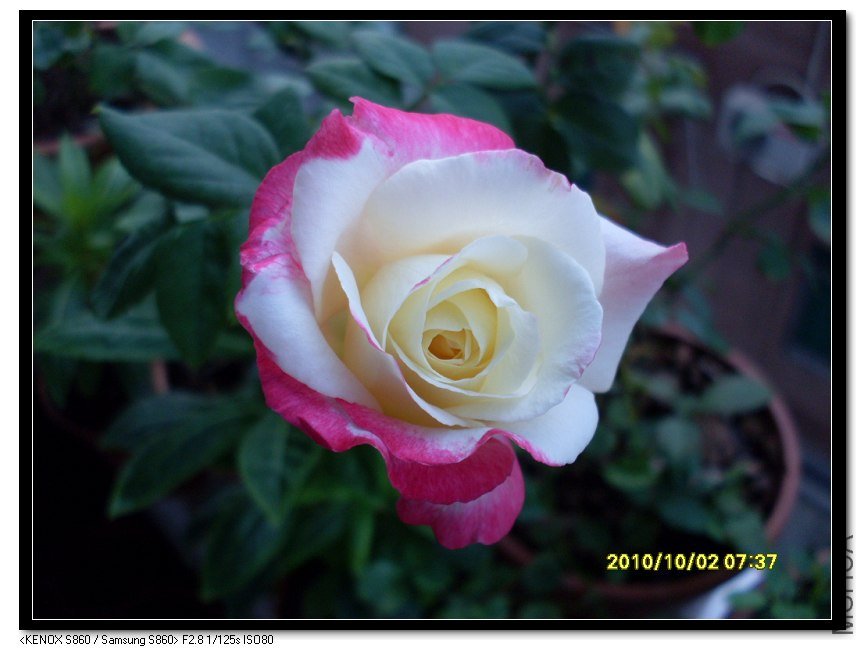 SDC15396_nEO_IMG.jpg