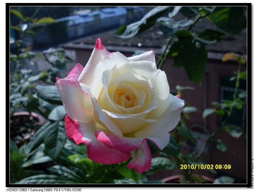 SDC15416_nEO_IMG.jpg