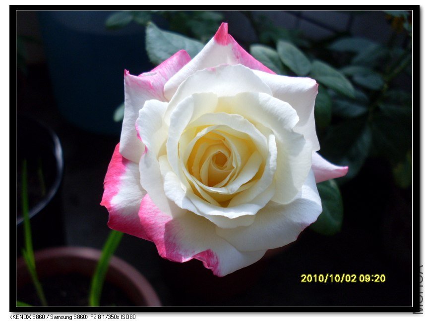 SDC15422_nEO_IMG.jpg