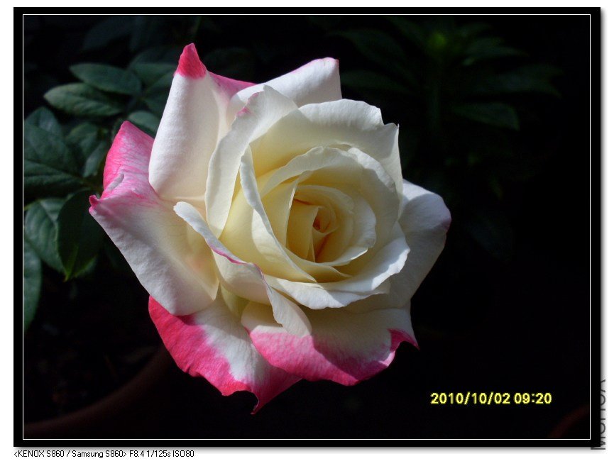 SDC15425_nEO_IMG.jpg