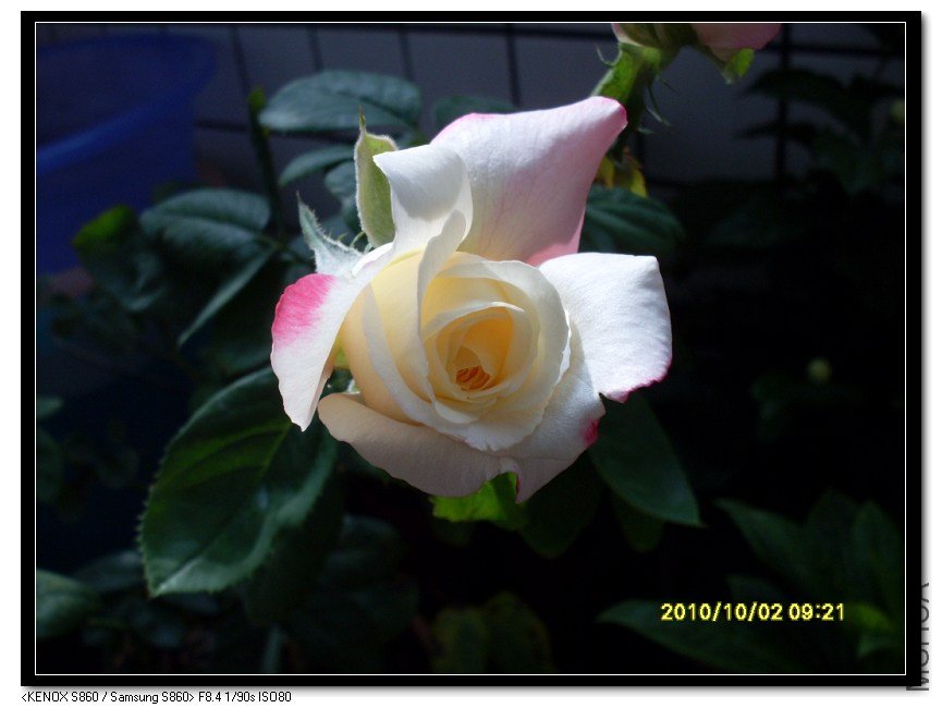 SDC15426_nEO_IMG.jpg