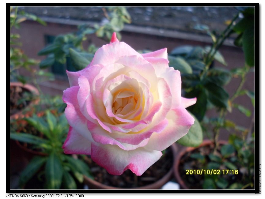 SDC15434_nEO_IMG.jpg