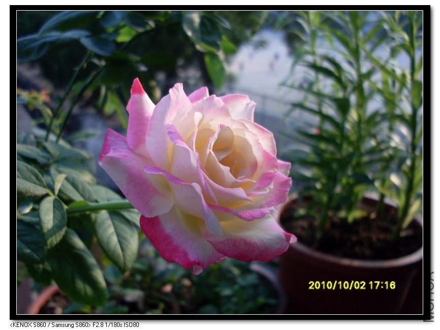 SDC15435_nEO_IMG.jpg