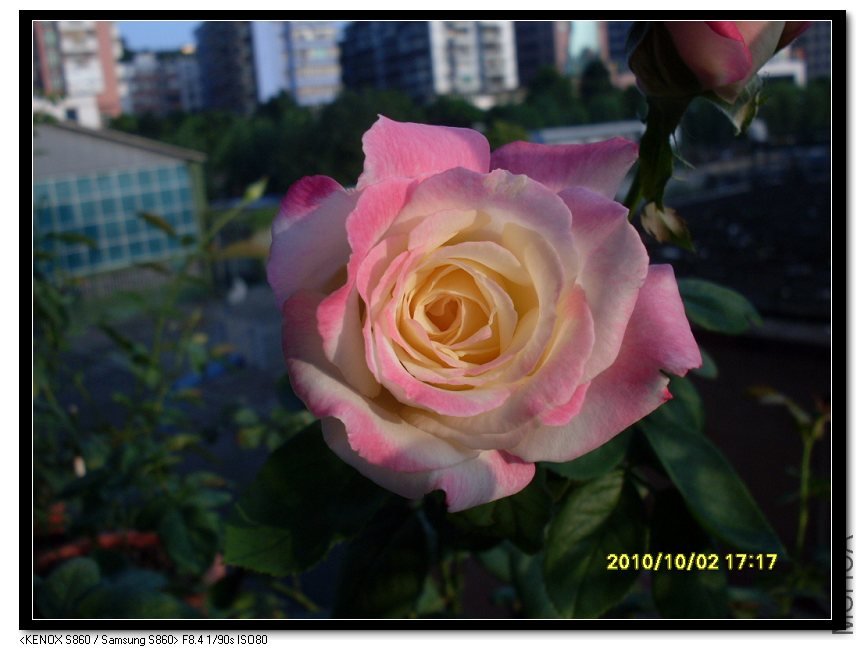 SDC15436_nEO_IMG.jpg