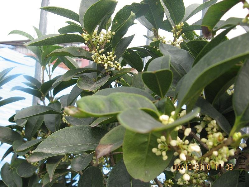 20101003 006.jpg
