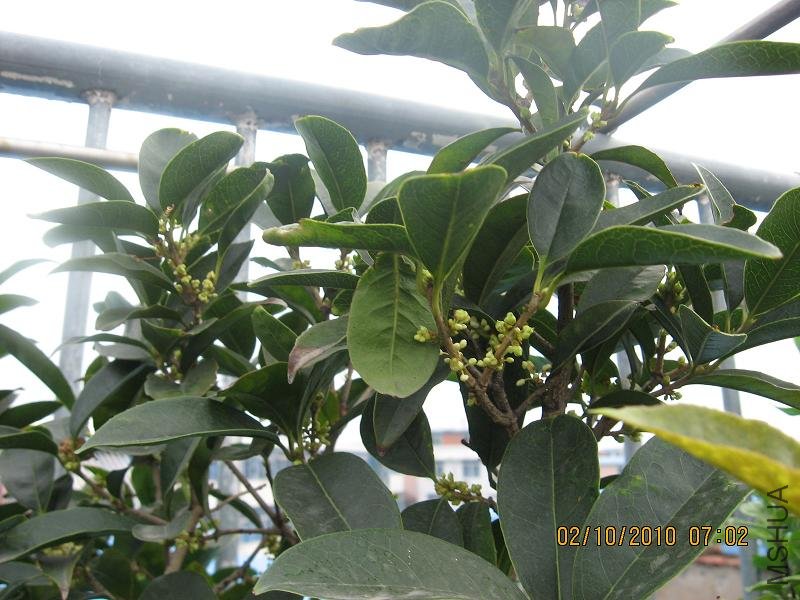 20101002 009.jpg