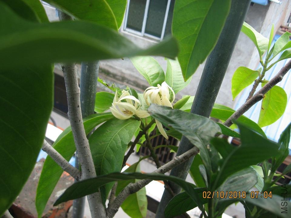 20101002 011.jpg
