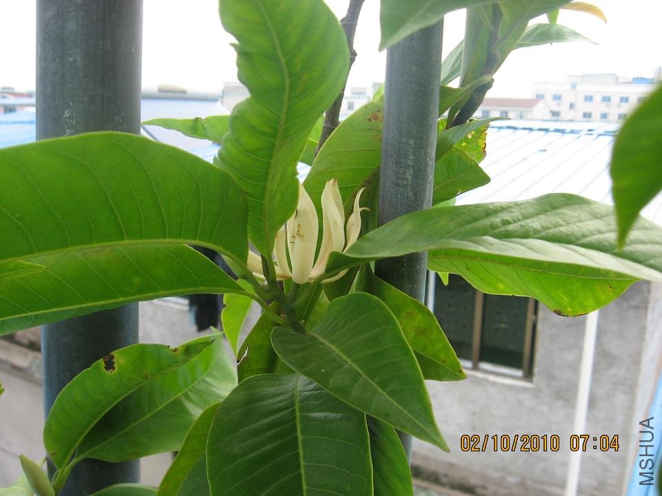 20101002 012.jpg