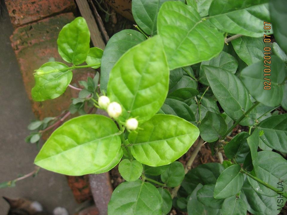 20101002 021.jpg
