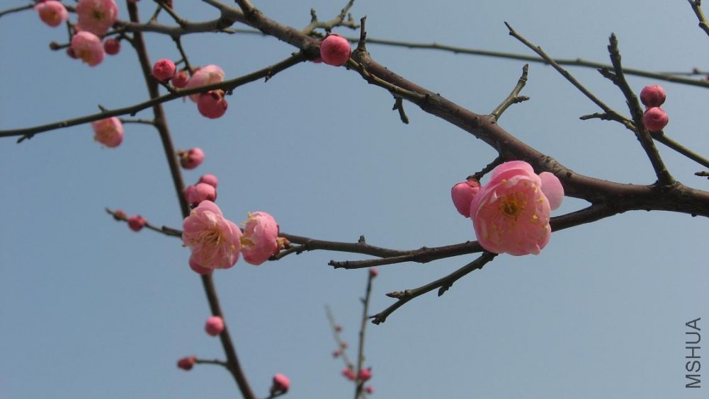 09��1��8�� 163.jpg