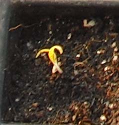 ���մ� 1004��ѿ.jpg