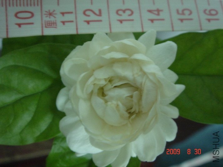 DSC04480.JPG