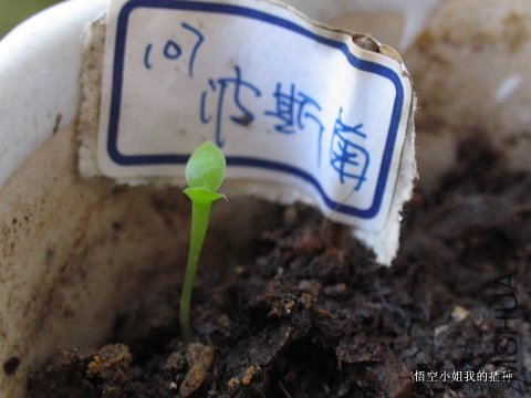 ���� 002.JPG