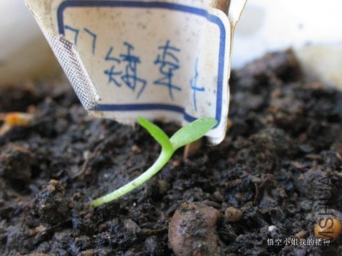 ���� 004.JPG