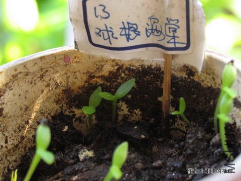 ���� 006.JPG