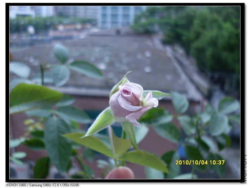 SDC15482_nEO_IMG.jpg