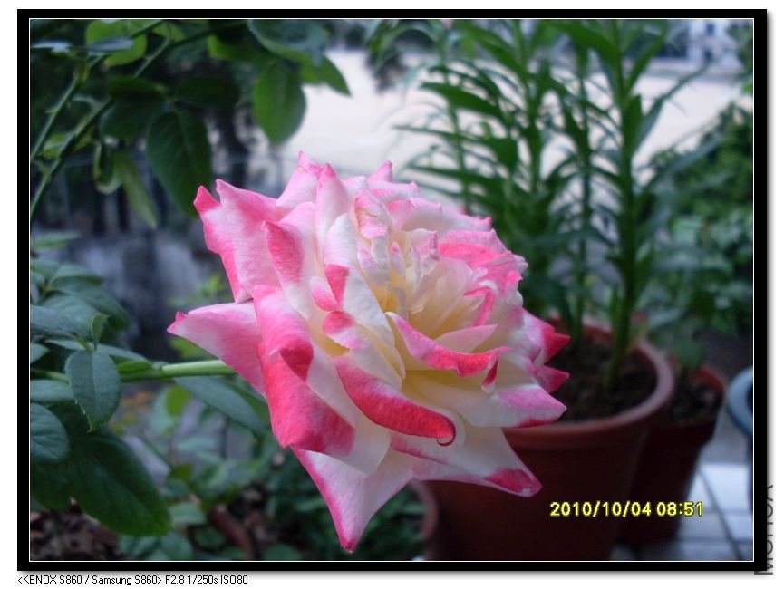 SDC15459_nEO_IMG.jpg