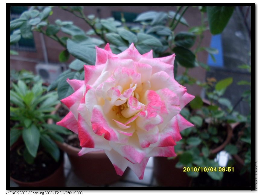 SDC15458_nEO_IMG.jpg