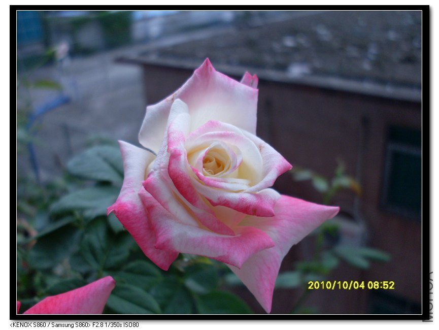 SDC15462_nEO_IMG.jpg