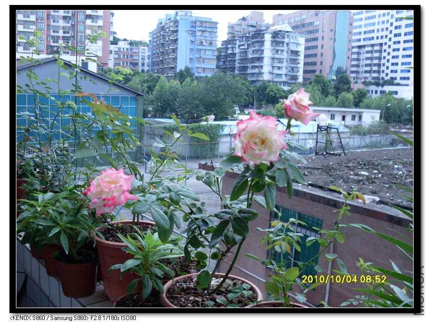 SDC15465_nEO_IMG.jpg