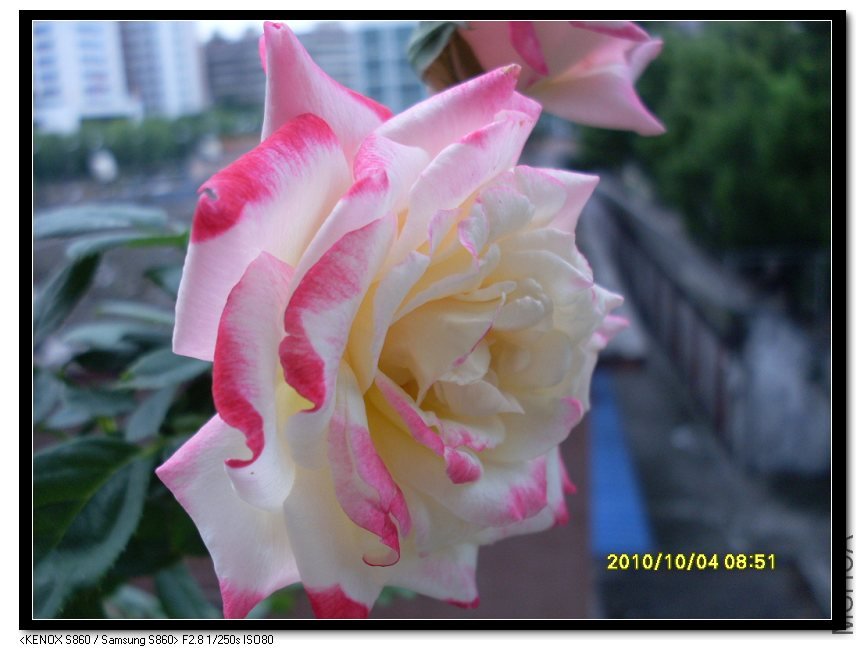SDC15461_nEO_IMG.jpg