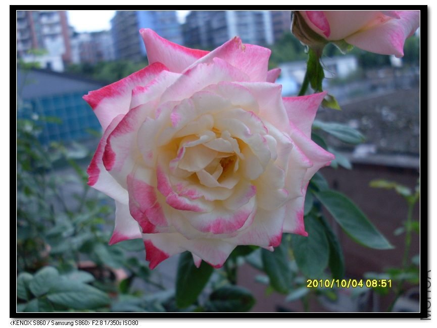 SDC15460_nEO_IMG.jpg