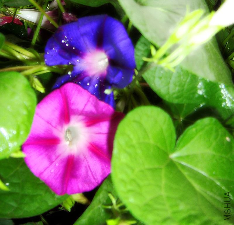 DSC03278.JPG
