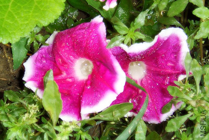 DSC03355.JPG