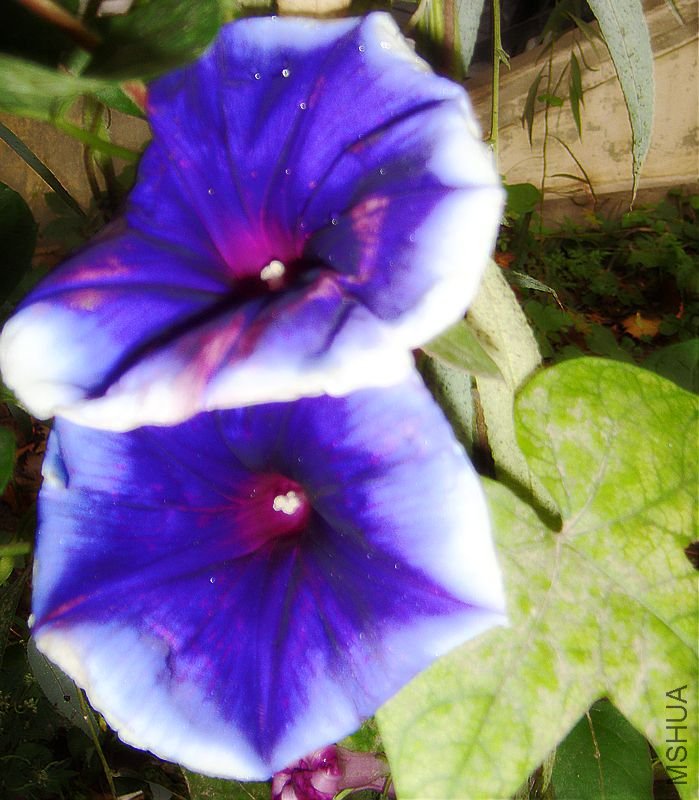 DSC03332.JPG