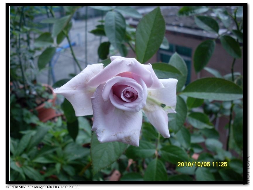 SDC15527_nEO_IMG.jpg