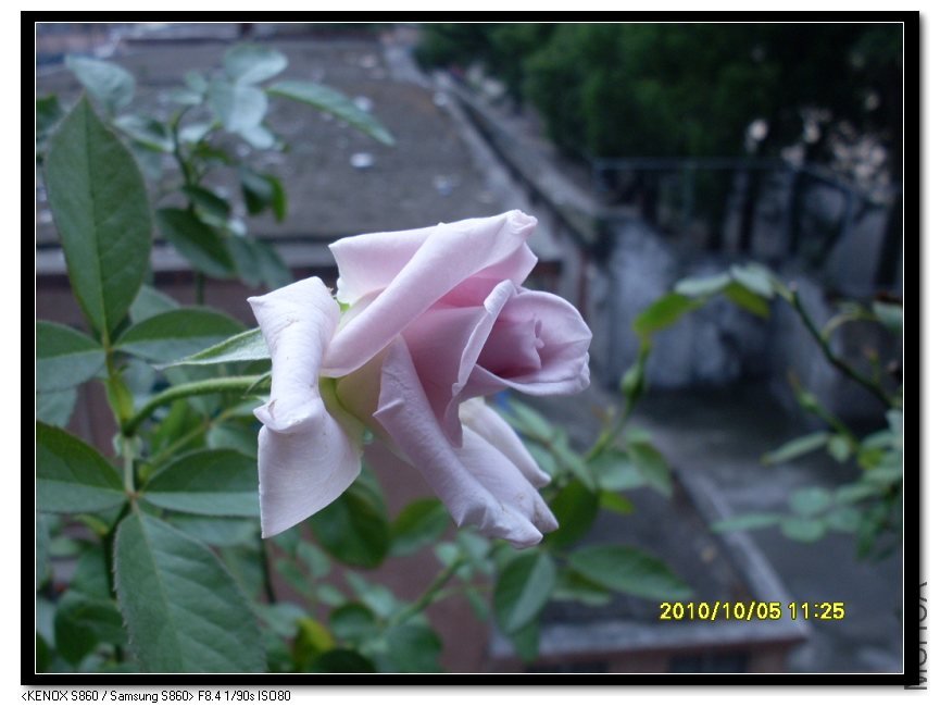 SDC15529_nEO_IMG.jpg