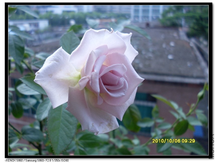 SDC15554_nEO_IMG.jpg