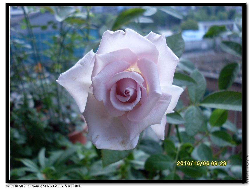 SDC15553_nEO_IMG.jpg