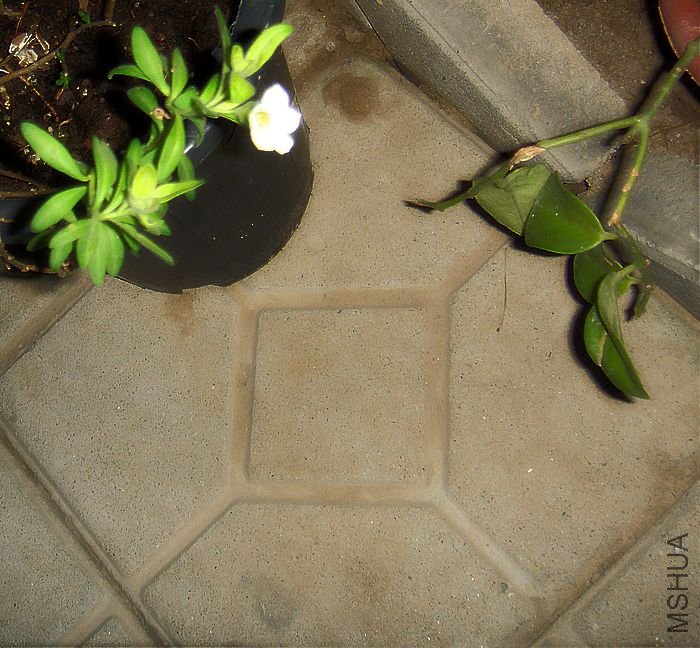 DSC03662.JPG