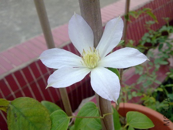 201008161321.jpg